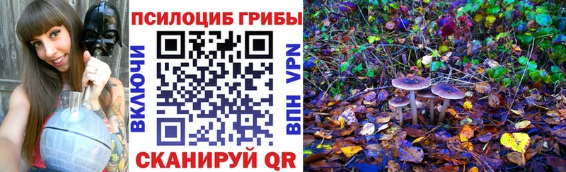 Галлюциногенные грибы мухоморы  сколько стоит  Багратионовск 