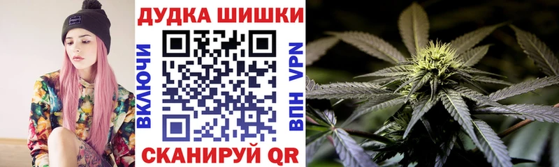 Конопля план  Багратионовск 